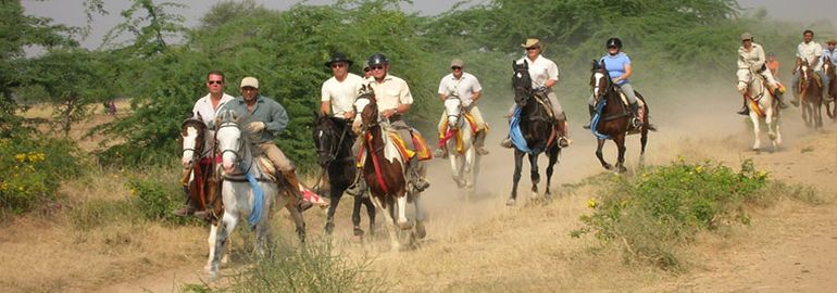 horse safari in jodhpur