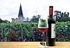 wine tour Bordeaux Region France 